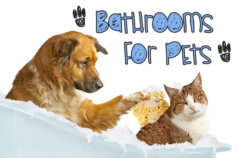 An image for the blog post bathrooms for pets by heatandplumb.com