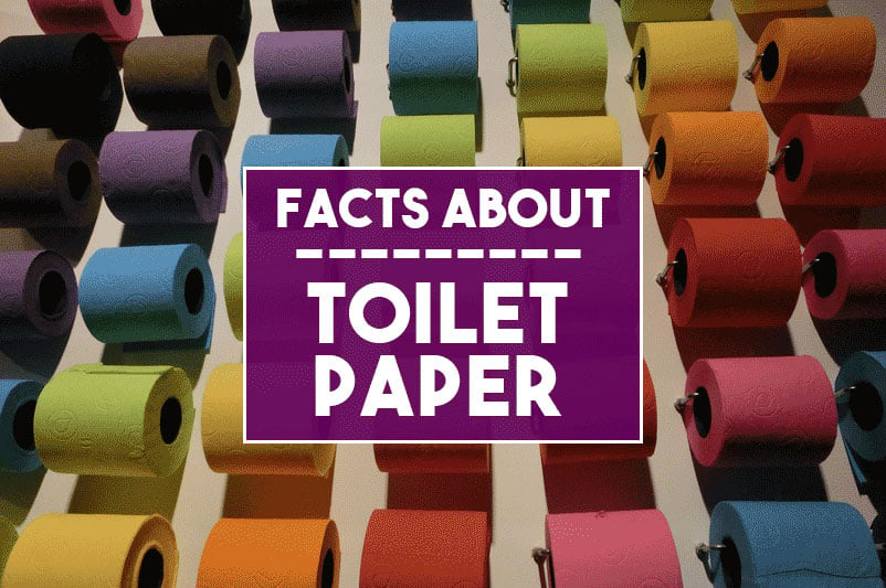 Facts About Toilet Paper