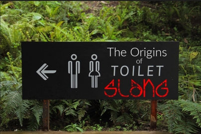 This image shows a toilet sign from the article  The Origins of Toilet Slang on the heatandplumb.com blog 