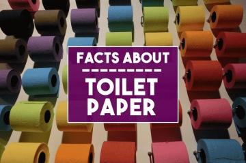 Facts About Toilet Paper Featured Image