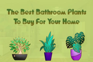 the best bathroom plants to buy for your home article by heatandplumb.com | Article Image