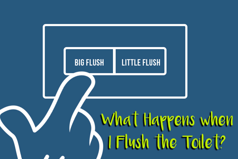 A featured image for the blog post by heatandplumb.com for What Happens When I Flush the Toilet