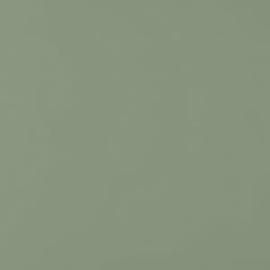 Hudson Reed Solar 600mm 2-Drawer Wall Hung Vanity Unit - Colour Swatch - Fern Green