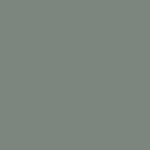 Orbit Empire 500mm Back-to-Wall WC Unit - Colour Swatch - Sage Green