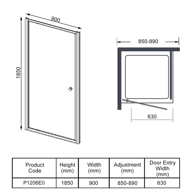 Aquashine Pivot Shower Door 900mm Wide - 6mm Glass