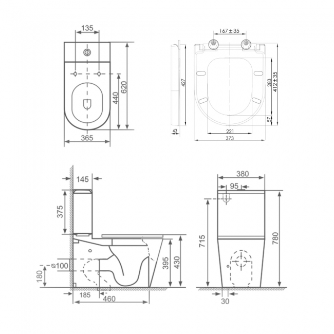 Delphi Angel Rimless Fully Back to Wall Close Coupled Pan with Push Button Cistern - Standard Soft Close Seat