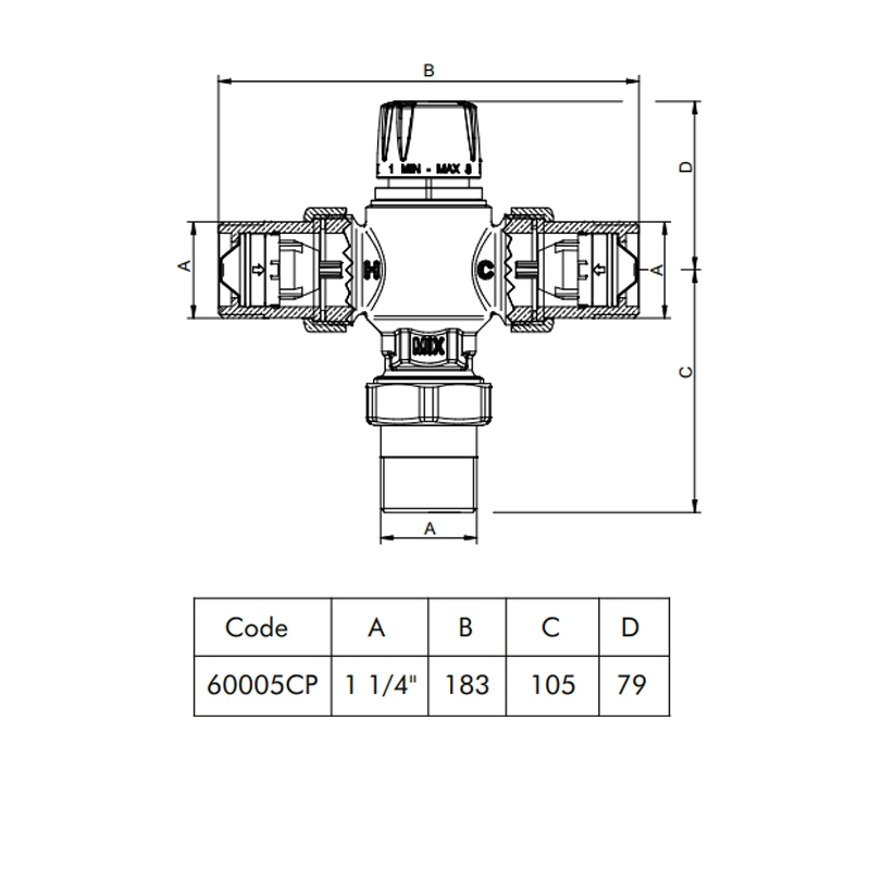 Intamix Pro Thermostatic Mixing Valve 1 1/4 with Screwed Iron and Check Valves