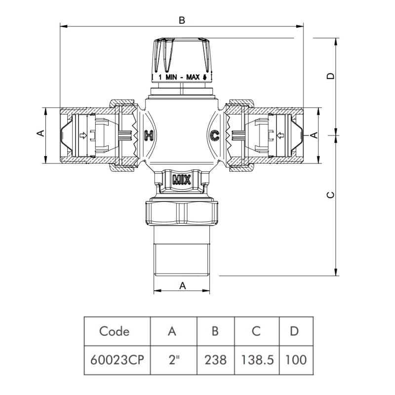 Intamix Pro Thermostatic Mixing Valve 2 Inch with Screwed Iron