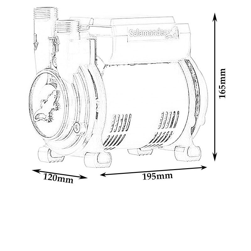 Salamander 1.5 Bar Single End Positive Head Shower Pump