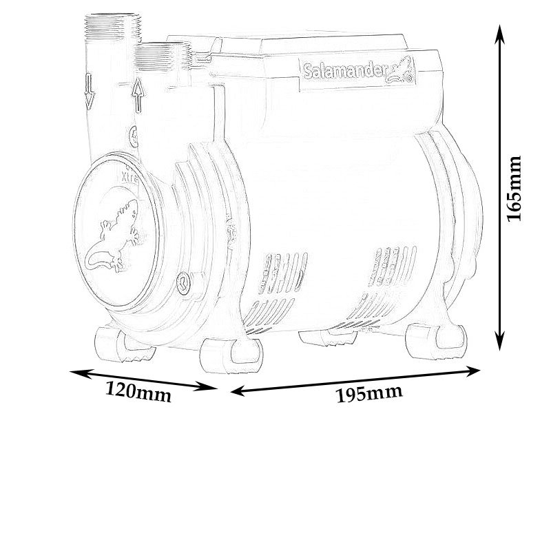 Salamander 2.5 Bar Single End Positive Head Shower Pump