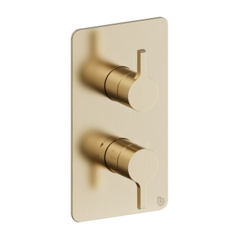 Britton Hoxton 2.0 Brushed Brass Single Outlet Concealed Thermostatic Shower Valve | Product Image