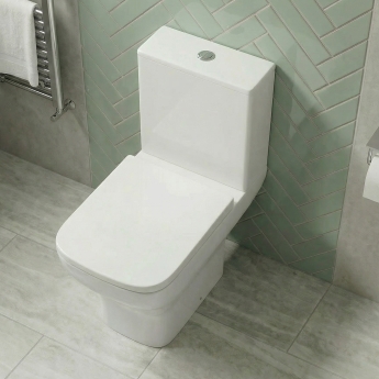 Delphi Alpine Rimless Open Back Close Coupled Toilet (inc Soft Close Seat) | Product Image