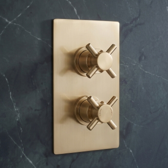 Delphi Axiom Crosshead Brushed Brass Dual Concealed Shower Set with Fixed Head | Product Image
