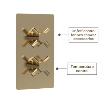 Delphi Axiom Crosshead Brushed Brass Dual Concealed Shower Set with Fixed Head and Handset | Product Image