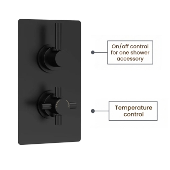Delphi Axiom Lever Matt Black Dual Concealed Shower Set with Fixed Head | Product Image