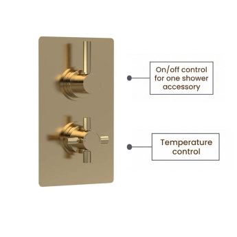Delphi Axiom Lever Brushed Brass Dual Concealed Shower Set with Fixed Head | Product Image