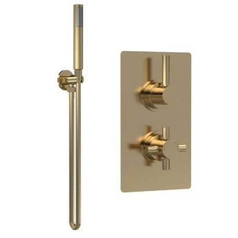 Delphi Axiom Lever Brushed Brass Dual Concealed Shower Set with Handset and Bracket | Product Image