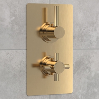 Delphi Axiom Lever Brushed Brass Dual Concealed Shower Set with Fixed Head | Product Image