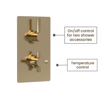 Delphi Axiom Lever Brushed Brass Dual Concealed Shower Set with Fixed Head and Handset | Product Image