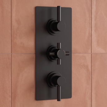 Delphi Axiom Lever Matt Black 2-Outlet Triple Concealed Shower Valve | Product Image