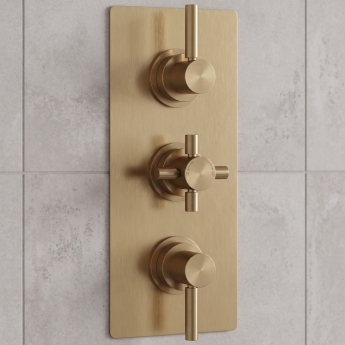 Delphi Axiom Lever Brushed Brass 2-Outlet Triple Concealed Shower Valve | Product Image