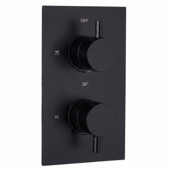 Delphi Bilbrook Thermostatic Dual Concealed Mixer Shower with Fixed Shower Head - Black | Product Image