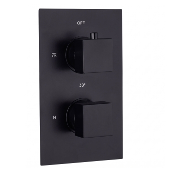 Delphi Bramwell Thermostatic Dual Concealed Mixer Shower with Fixed Shower Head - Black | Product Image