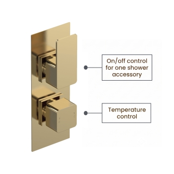 Delphi Edge Brushed Brass Dual Concealed Shower Set with Handset and Bracket | Product Image