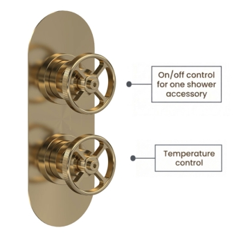 Delphi Turbine Brushed Brass Dual Concealed Shower Set with Handset and Bracket | Product Image