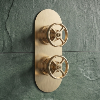 Delphi Turbine Brushed Brass Dual Concealed Shower Set with Handset and Bracket | Product Image