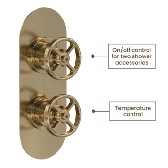 Delphi Turbine Brushed Brass Dual Concealed Shower Set with Fixed Head and Handset | Product Image
