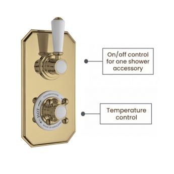 Delphi Windsor Brushed Brass Dual Concealed Shower Set with Slide Rail Kit | Product Image