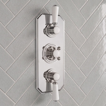 Delphi Windsor Chrome 2-Outlet Triple Concealed Shower Valve | Product Image