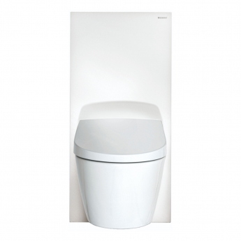 Geberit Monolith Back to Wall Cistern Frame for Floor Standing WC 1140mm - White