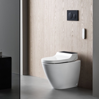 Geberit Sigma20 Dual Flush Plate - Matt Black/Black