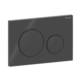 Geberit Sigma20 Dual Flush Plate - Black | Product Image