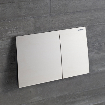 Geberit Sigma70 Dual Flush Plate - Brushed Stainless Steel