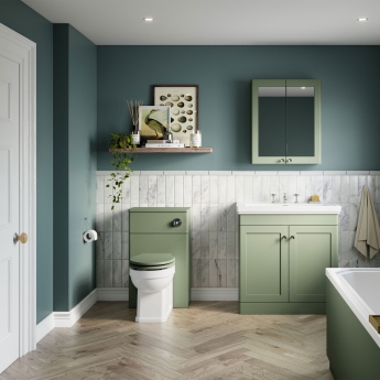 Nuie Classique Back to Wall WC Toilet Unit 500mm Wide - Satin Green | Product Image