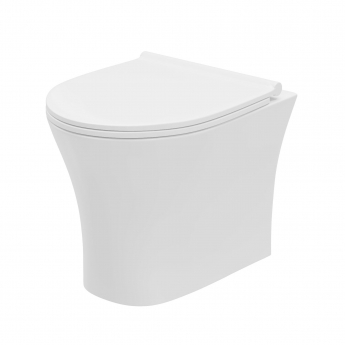 Orbit Elaris Compact Rimless Wall Hung Toilet 5-in-1 Bundle with Grohe Rapid SL Frame