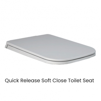 RAK Feeling Rimless Back to Wall Pan P and S Trap Matt White - Excluding Seat
