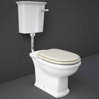RAK Washington Low Level Toilet with Horizontal Outlet - Greige Soft Close Wood Seat
