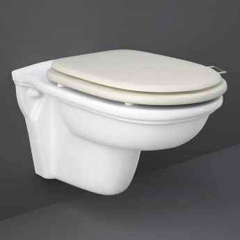 RAK Washington Wall Hung Toilet 560mm Projection - Greige Soft Close Wood Seat