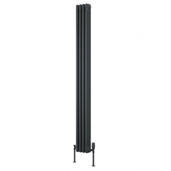 Reina Colona 2 Column Vertical Radiator 1800mm H x 200mm W - Anthracite | Product Image