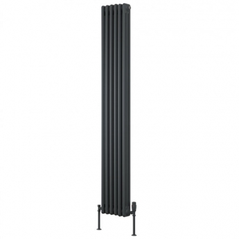 Reina Colona 2 Column Vertical Radiator 1800mm H x 290mm W - Anthracite | Product Image