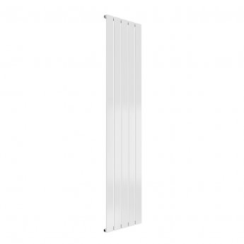 Reina Flat Custom RAL Colour Vertical Designer Radiator