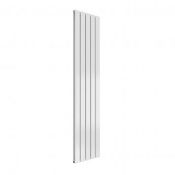 Reina Flat Custom RAL Colour Vertical Designer Radiator