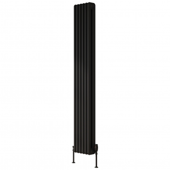 Reina Hedingham Black Vertical Traditional 2-Column Radiator