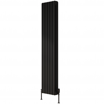 Reina Hedingham Black Vertical Traditional 2-Column Radiator