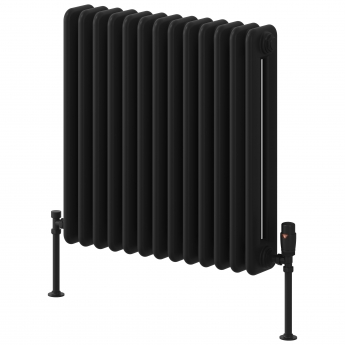 Reina Hedingham Black Horizontal Traditional 2-Column Radiator