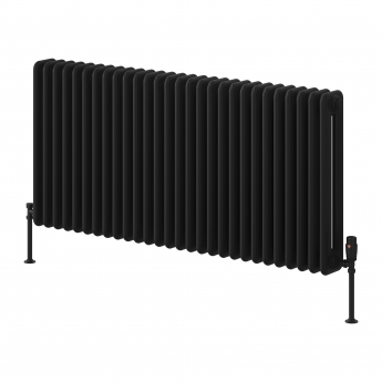 Reina Hedingham Black Horizontal Traditional 2-Column Radiator